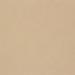 L W SOFT GOLD MESH 4X8 SS F