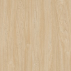 L F SILVER MAPLE M 4X8 F