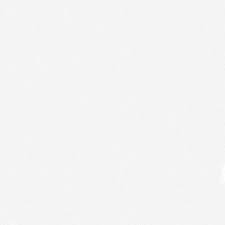 L W BLANCO BRILLO 30X8