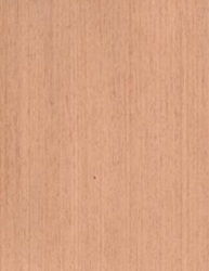 CHAP CAOBA 7 S/P 500 PAPER BACK