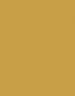 L L MUSTARD M 4X8 NVR