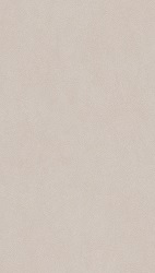 PB MR 08MM 2C SELENE GRIS NUDE