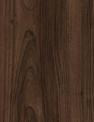 L L ROYAL WALNUT 4X8 TM